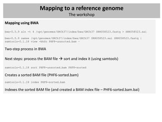 Mapping to a reference genome
                                        The workshop
Mapping using BWA

bwa-0.5.9 aln -t 4 /opt/genomes/GRCh37/index/bwa/GRCh37 SRR058523.fastq > SRR058523.sai

bwa-0.5.9 samse /opt/genomes/GRCh37/index/bwa/GRCh37 SRR058523.sai SRR058523.fastq |
samtools-0.1.18 view -bhSo PHF8-unsorted.bam –

Two-step process in BWA

Next steps: process the BAM file  sort and index it (using samtools)

samtools-0.1.18 sort PHF8-unsorted.bam PHF8-sorted

Creates a sorted BAM file (PHF6-sorted.bam)
samtools-0.1.18 index PHF8-sorted.bam

Indexes the sorted BAM file (and created a BAM index file – PHF6-sorted.bam.bai)
 