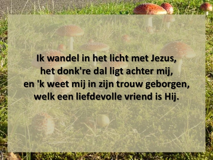 De Lazerus Die Naast Je Zit slideshare