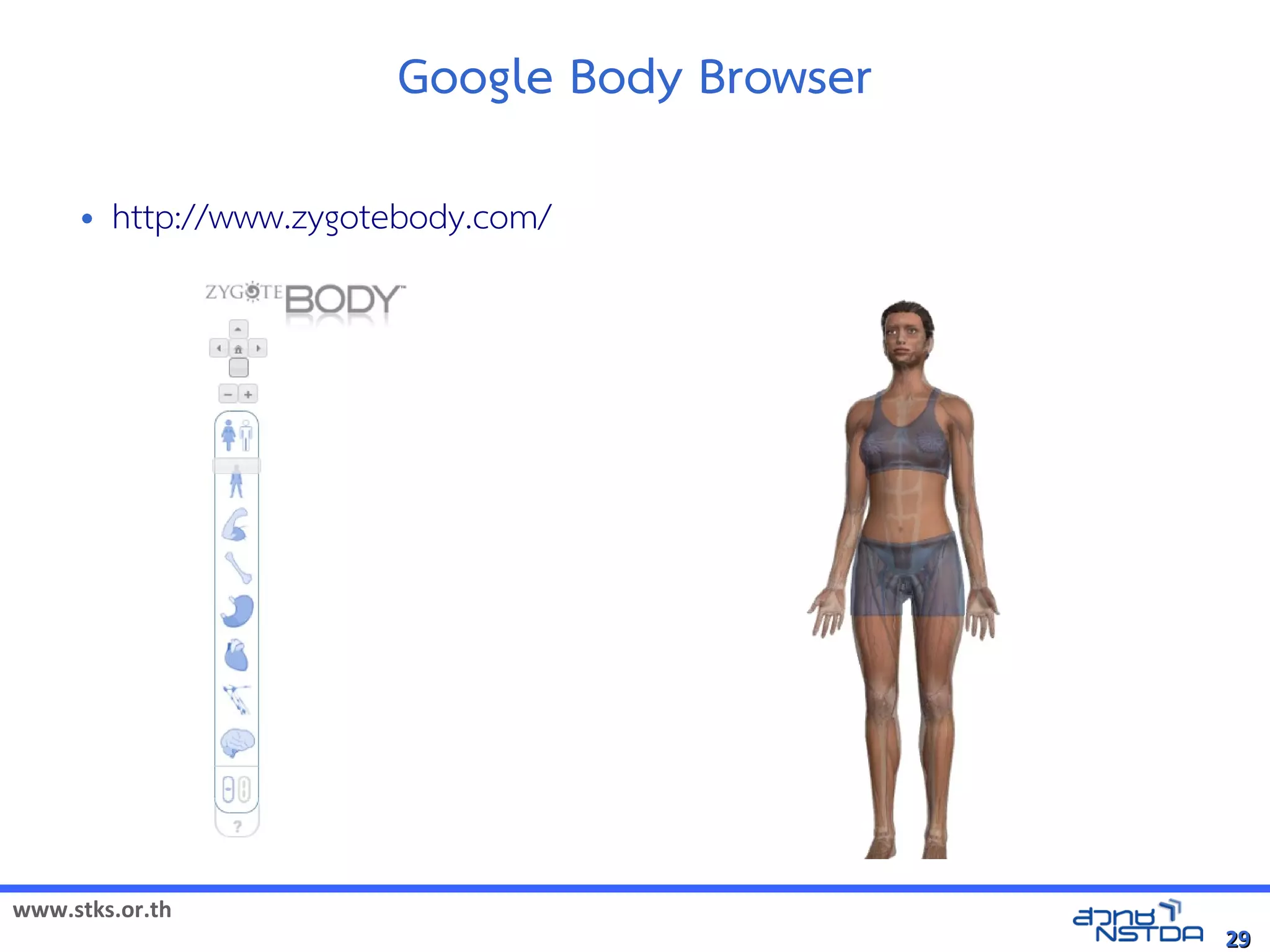 Google Body Browser
     •   http://www.zygotebody.com/




www.stks.or.th
                                               29
 