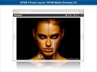 EPUB 3 Fixed Layout / EPUB Media Overlays 3.0
 