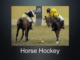 Horse Hockey
 