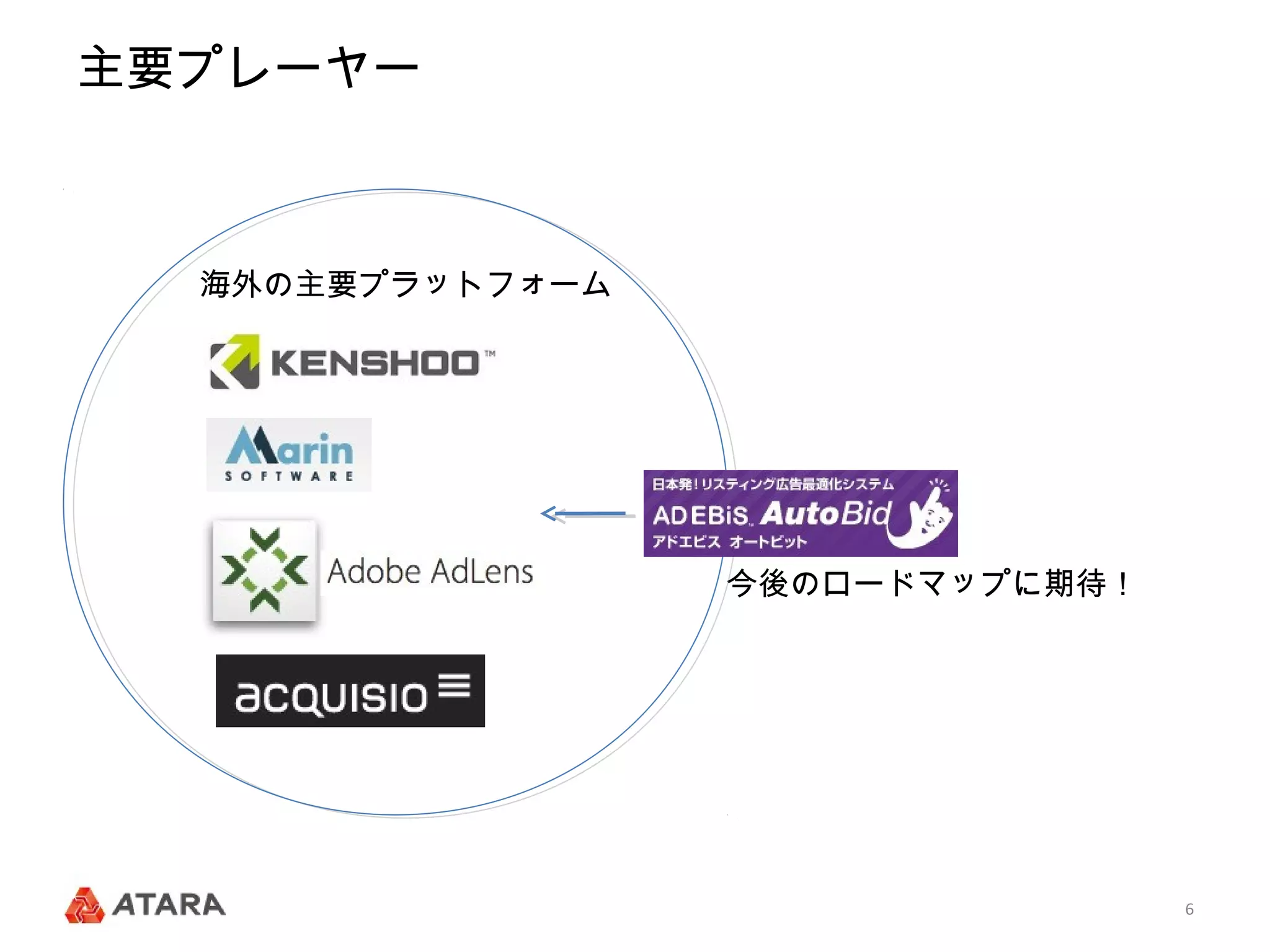 主要プレーヤー



  海外の主要プラットフォーム




                  今後のロードマップに期待！




                                  6
 