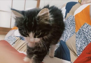 ©2021 Expassion LLC.
ありがとう
ございました！
 