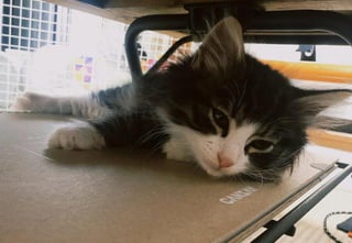 ©2021 Expassion LLC.
 