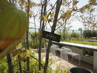 インターンシップ2012_10N1035_表義之_RFC発表データ