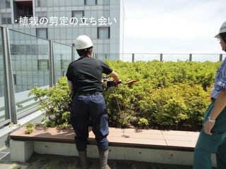 ・植栽の剪定の立ち会い
 