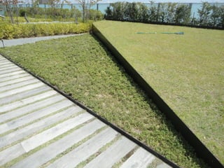 インターンシップ2012_10N1035_表義之_RFC発表データ