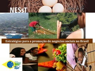 Estratégias para a promoção de negócios sociais no Brasil
 