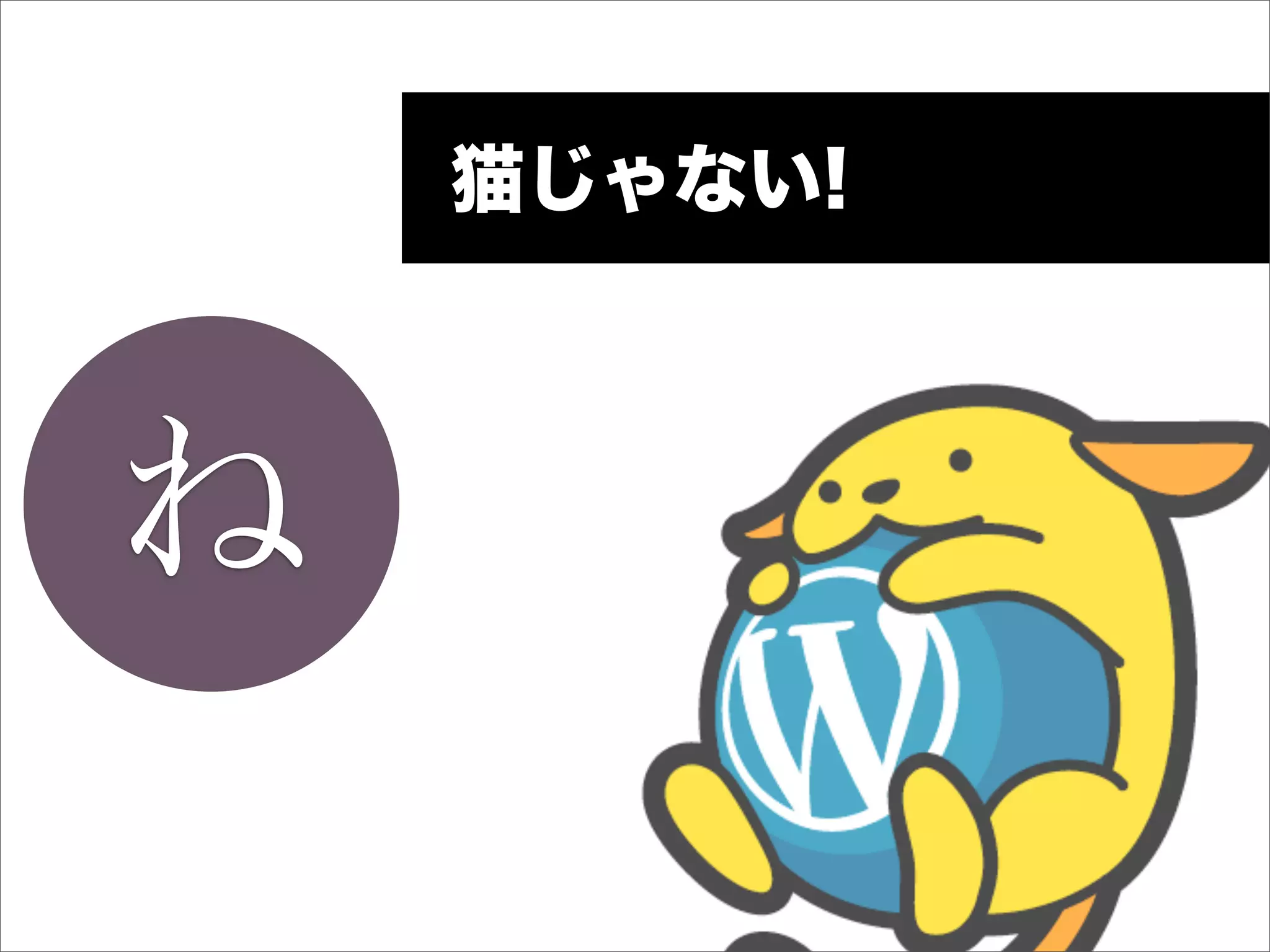 猫じゃない!



ね
 