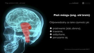 Pień mózgu (eng. old brain)
http://www.sxc.hu/browse.phtml?f=download&id=880737
Mózgu spokojnie, to tylko ... perswazja!
Odpowiedzialny za takie czynności jak:
✦ przetrwanie (atak, obrona),
✦ trawienie,
✦ oddychanie,
✦ poruszanie się.
1
 