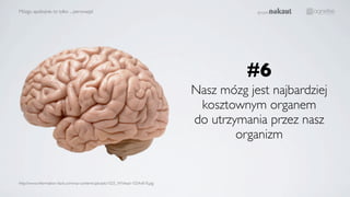 Mózgu spokojnie, to tylko ... perswazja!
http://www.information-facts.com/wp-content/uploads/1025_WVlead-1024x818.jpg
Nasz mózg jest najbardziej
kosztownym organem
do utrzymania przez nasz
organizm
#6
 