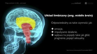 http://www.sxc.hu/browse.phtml?f=download&id=880737
Mózgu spokojnie, to tylko ... perswazja!
Odpowiedzialny za takie czynności jak:
✦ emocje,
✦ impulsywne działanie,
✦ wpływa na popędy takie jak głód,
pragnienie, popęd seksualny.
Układ limbiczny (eng. middle brain)
1
2
 