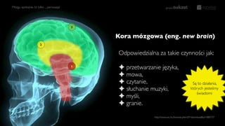Kora mózgowa (eng. new brain)
http://www.sxc.hu/browse.phtml?f=download&id=880737
Mózgu spokojnie, to tylko ... perswazja!
Odpowiedzialna za takie czynności jak:
✦ przetwarzanie języka,
✦ mowa,
✦ czytanie,
✦ słuchanie muzyki,
✦ myśli,
✦ granie.
Są to działania,
których jesteśmy
świadomi
1
2
3
 