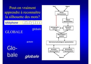 Peut-on vraiment
apprendre à reconnaître
la silhouette des mots?


                    globale
GLOBALE

              globale


 Glo-
 bale       globale
 