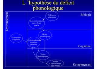 L ’hypothèse du déficit
Environnement
                                   phonologique
                                                            Différences               Biologie
                                                            génétiques

                                   Dysfonctionnement
                                      péri-sylvien
                                        gauche




                                                     Déficit
                                                   phonologique
                Orthographe
                 irrégulière     Correspondances
                                   graphème-
                                    phonème
                                                                                    Cognition

                                                Tâches
                                            'phonologiques'

                                                                   Trouble
                                                              d ’apprentissage
                                                                 de la lecture   Comportement
 