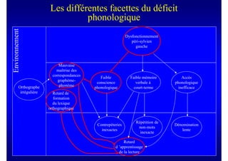 Les différentes facettes du déficit
Environnement                       phonologique
                                                               Dysfonctionnement
                                                                  péri-sylvien
                                                                    gauche



                              Mauvaise
                             maîtrise des
                           correspondances
                                                Faible           Faible mémoire         Accès
                              graphème-
                                              conscience            verbale à       phonologique
          Orthographe          phonème
                                             phonologique          court-terme        inefficace
           irrégulière      Retard de
                            formation
                           du lexique
                         orthographique


                                                                    Répétition de
                                              Contrepèteries                        Dénomination
                                                                     non-mots
                                                inexactes                              lente
                                                                      inexacte

                                                             Retard
                                                        d ’apprentissage
                                                          de la lecture
 