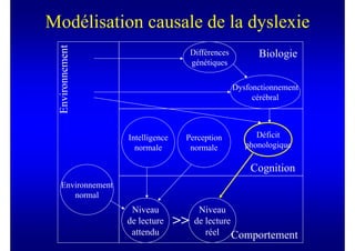 Modélisation causale de la dyslexie

 Environnement
                                      Différences         Biologie
                                      génétiques

                                                    Dysfonctionnement
                                                         cérébral



                  Intelligence    Perception              Déficit
                    normale        normale             phonologique

                                                        Cognition
  Environnement
     normal
                   Niveau               Niveau
                  de lecture     >>    de lecture
                   attendu                réel Comportement
 