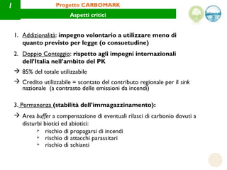 1                   Progetto CARBOMARK
                          Aspetti critici


    1. Addizionalità: impegno volontari...