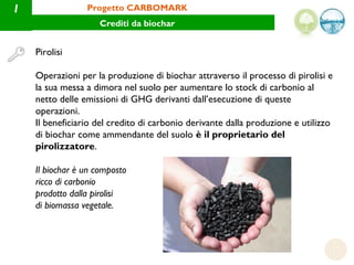 1                Progetto CARBOMARK
                    Crediti da biochar


    Pirolisi

    Operazioni per la produzion...