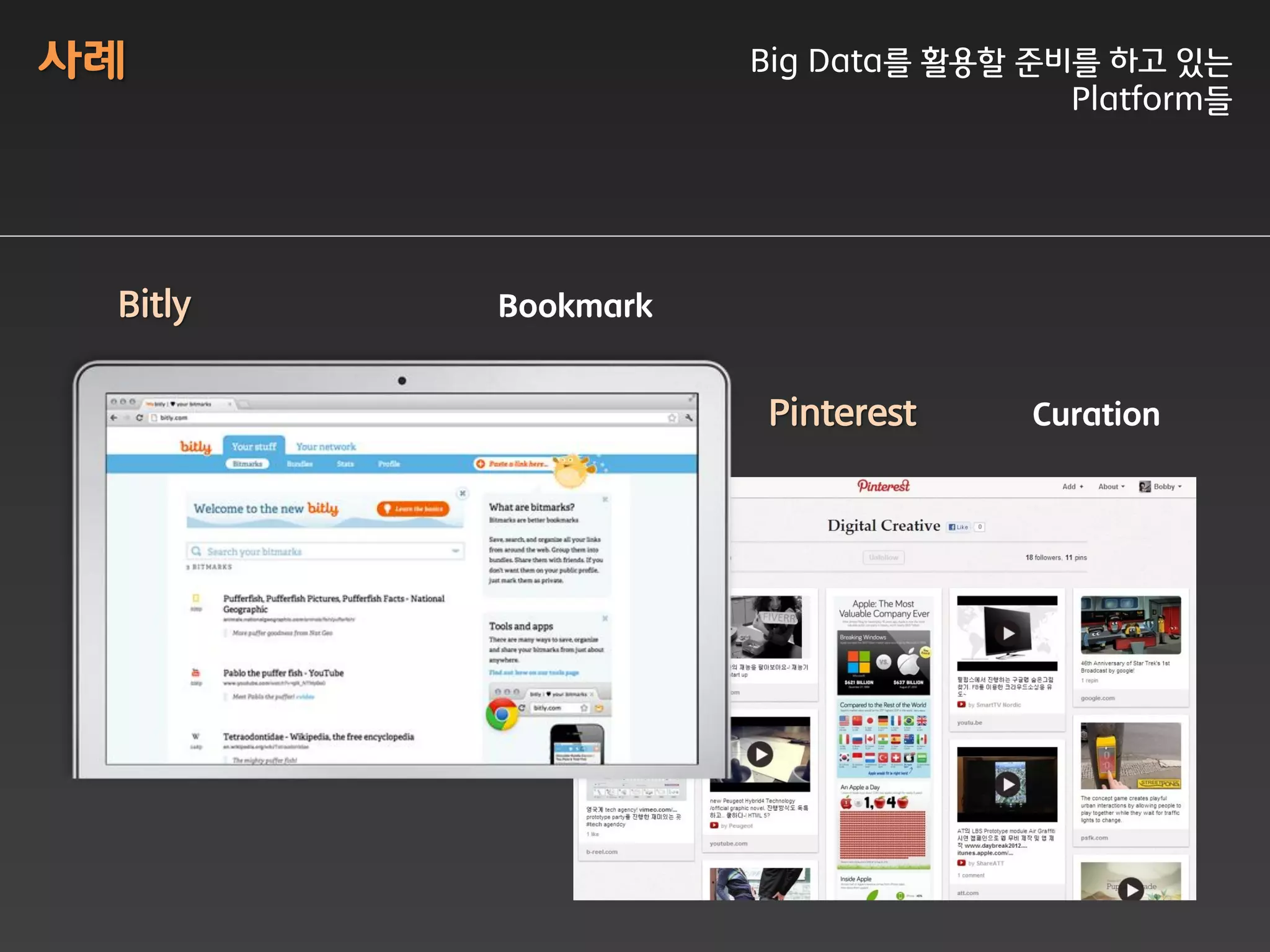 사례                  Big Data를 활용할 준비를 하고 잇는
                                    Platform들




 Bitly   Bookmark


                    Pinterest     Curation
 