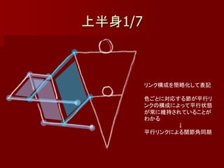 上半身1/7



         リンク構成を簡略化して表記

         色ごとに対応する節が平行リ
         ンクの構成によって平行状態
         が常に維持されていることが
         わかる
                ↓
         平行リンクによる関節角同期
 