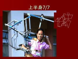上半身7/7
 