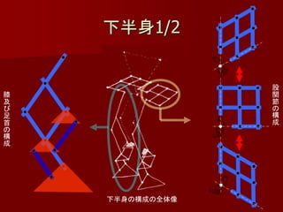 下半身1/2


                 股
膝                関
及                節
び                の
足                構
首                成
の
構
成




    下半身の構成の全体像
 