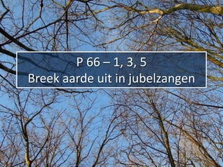 P 66 – 1, 3, 5
Breek aarde uit in jubelzangen
 