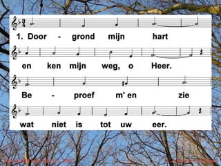 Doorgrond mijn hart (EL 308)   t. J. de Heer; m. Maori
 