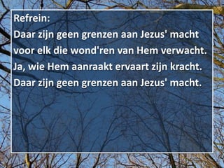 Refrein:
Daar zijn geen grenzen aan Jezus' macht
voor elk die wond'ren van Hem verwacht.
Ja, wie Hem aanraakt ervaart zijn kracht.
Daar zijn geen grenzen aan Jezus' macht.
 
