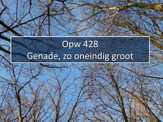 Opw 428
Genade, zo oneindig groot
 