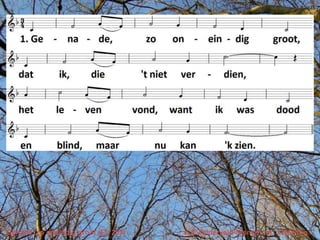 Genade, zo oneindig groot (EL 203)   v. E.Zuiderveld-Nieman, m. J.Newton
 