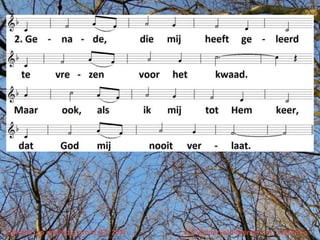 Genade, zo oneindig groot (EL 203)   v. E.Zuiderveld-Nieman, m. J.Newton
 