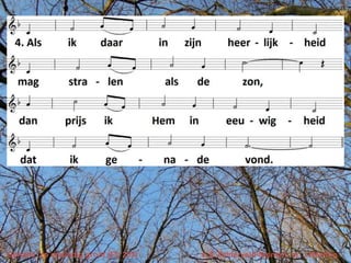 Genade, zo oneindig groot (EL 203)   v. E.Zuiderveld-Nieman, m. J.Newton
 