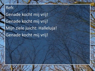 Refr.
Genade kocht mij vrij!
Genade kocht mij vrij!
Mijn ziele juicht: Halleluja!
Genade kocht mij vrij!
 