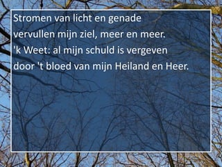 Stromen van licht en genade
vervullen mijn ziel, meer en meer.
'k Weet: al mijn schuld is vergeven
door 't bloed van mijn Heiland en Heer.
 
