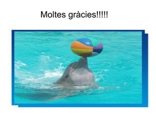 Moltes gràcies!!!!!
 