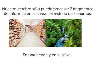 Nuestro cerebro sólo puede procesar 7 fragmentos
 de información a la vez... el resto lo desechamos.




           En una tienda y en la selva.
 