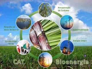 Sustentabilidade
Respeito ao
Meio Ambiente
Energia LimpaCombustível
Verde
Recuperação
de Carbono
2
 