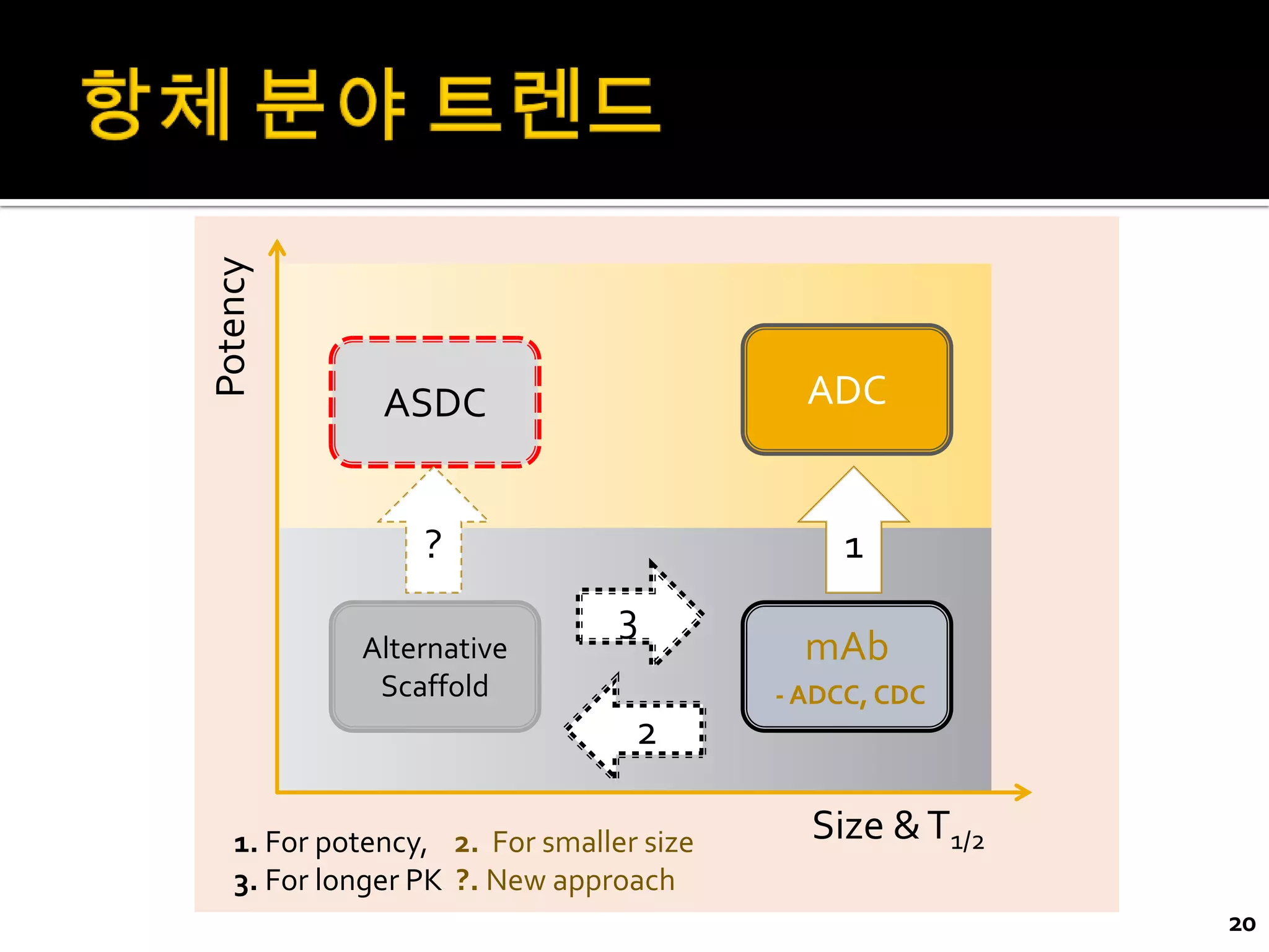 Potency



              ASDC                         ADC


                 ?                            1
                                3
            Alternative                    mAb
             Scaffold                    - ADCC, CDC
                                 2

   1. For potency, 2. For smaller size     Size & T1/2
   3. For longer PK ?. New approach
                                                         20
 