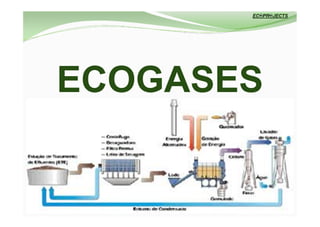 ECOGASES
 