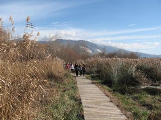 2012 12 18 planta de reciclaje