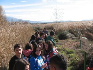 2012 12 18 planta de reciclaje