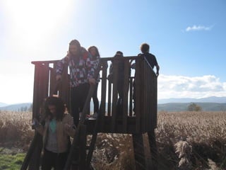 2012 12 18 planta de reciclaje