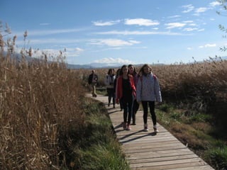 2012 12 18 planta de reciclaje