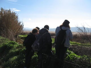 2012 12 18 planta de reciclaje