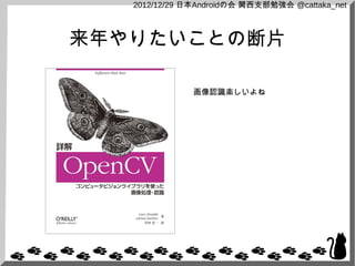 2012/12/29 日本Androidの会 関西支部勉強会 @cattaka_net



来年やりたいことの断片

               画像認識楽しいよね
 