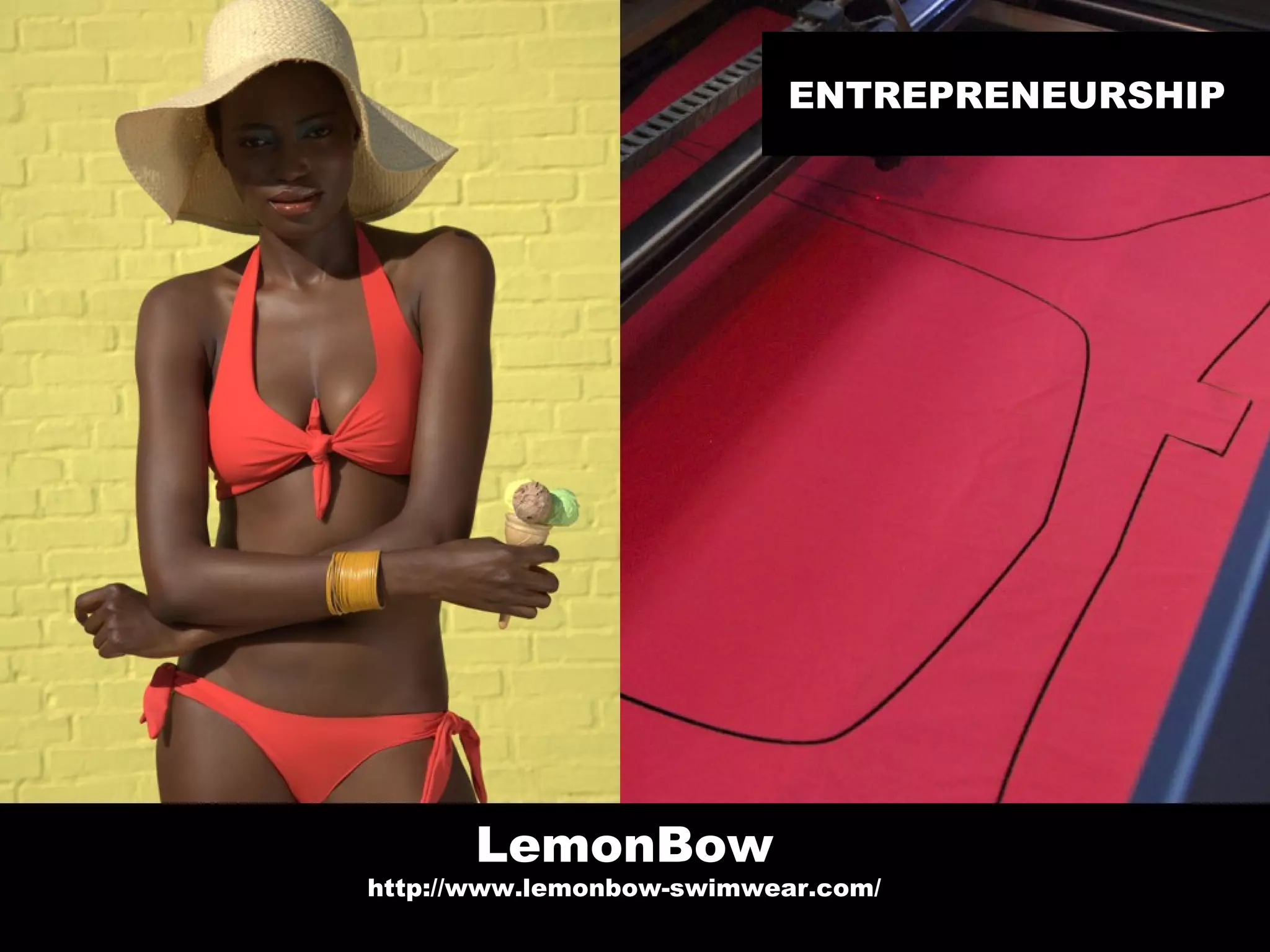 ENTREPRENEURSHIP



• q




            LemonBow
      http://www.lemonbow-swimwear.com/
 