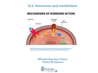 D.5. Hormones and metabolism
Miltiadis-Spyridon Kitsos
Platon IB Diploma
http://thumbs.dreamstime.com/z/mechanisms-hormone-action-hormones-bind-to-
receptors-plasma-membrane-itself-first-messenger-binding-to-40174339.jpg
 