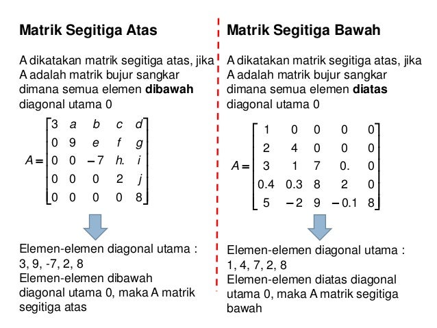 Matriks dan Determinan